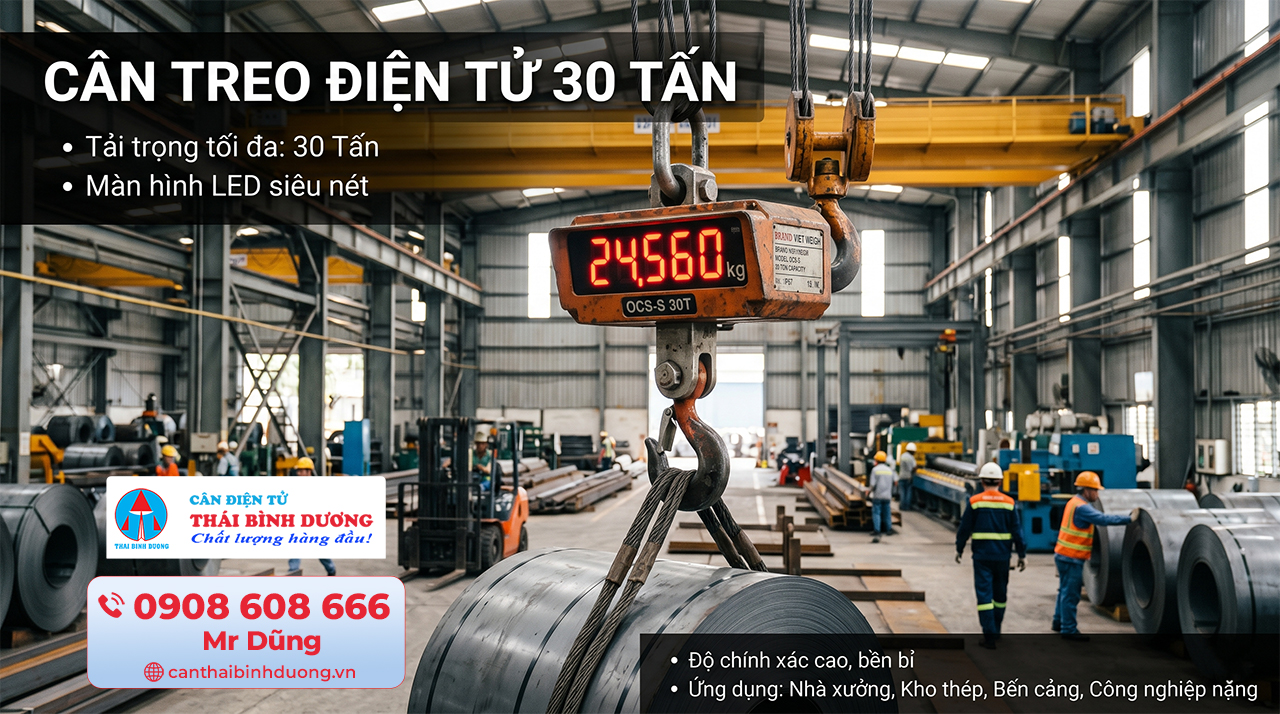 cân treo điện tử 30 tấn