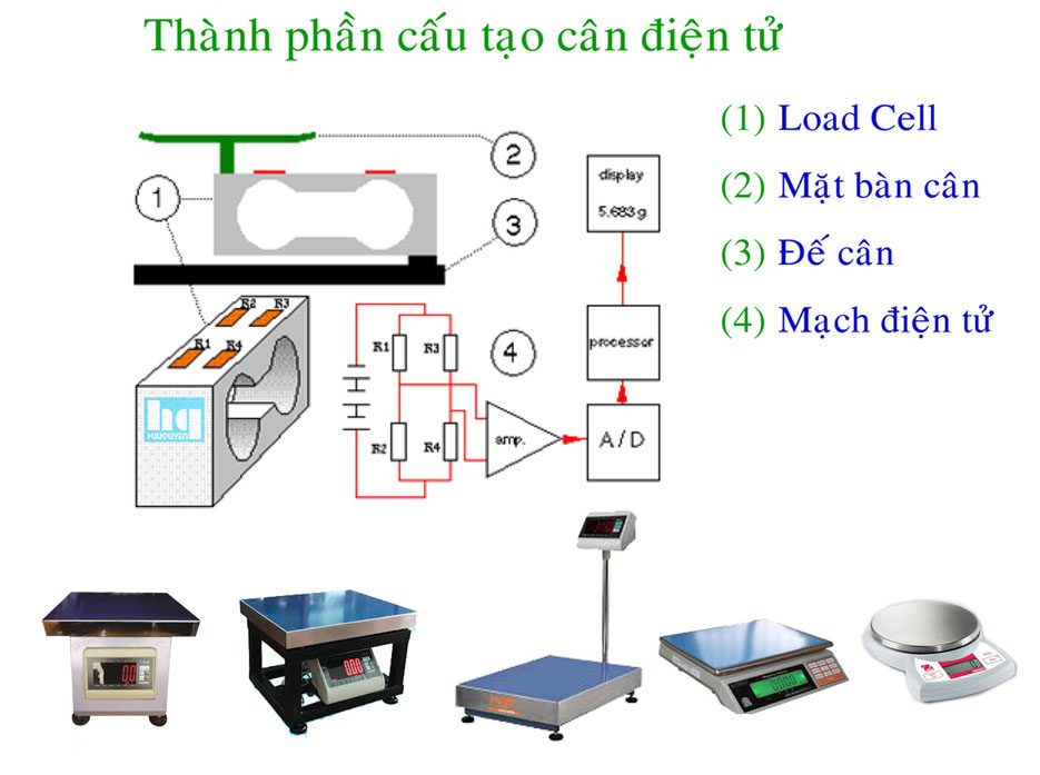 thành phần cấu tạo cân điện tử