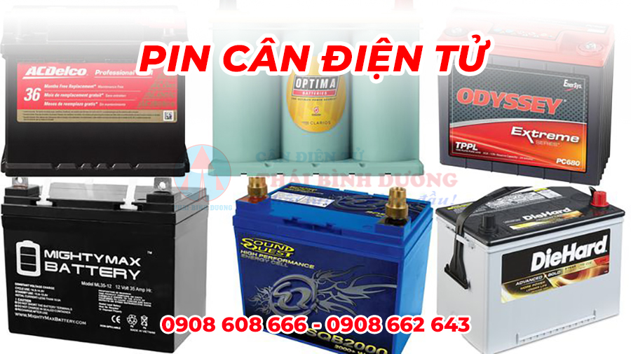 Pin cân điện tử