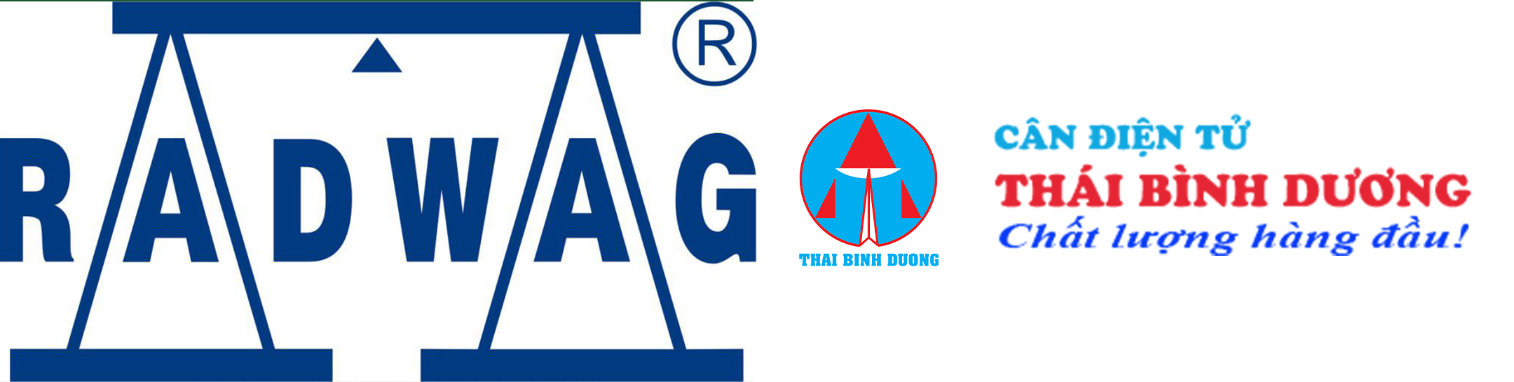 cân điện tử radwag