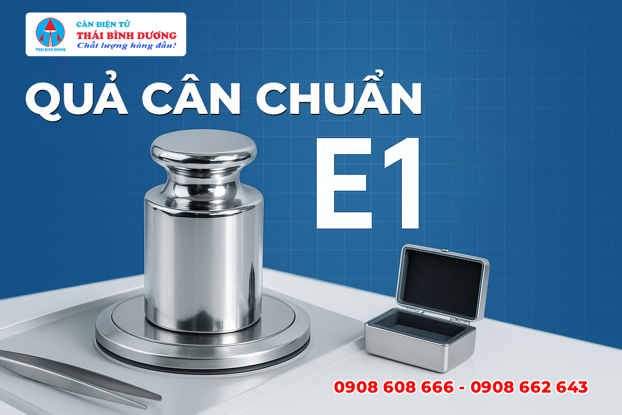 Quả cân chuẩn E1