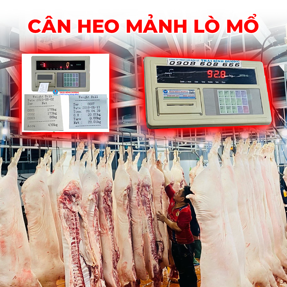 Cân heo điện tử (300kg – 2 tấn) lò mổ