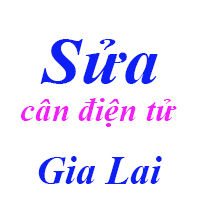 Sửa cân điện tử ở Gia Lai