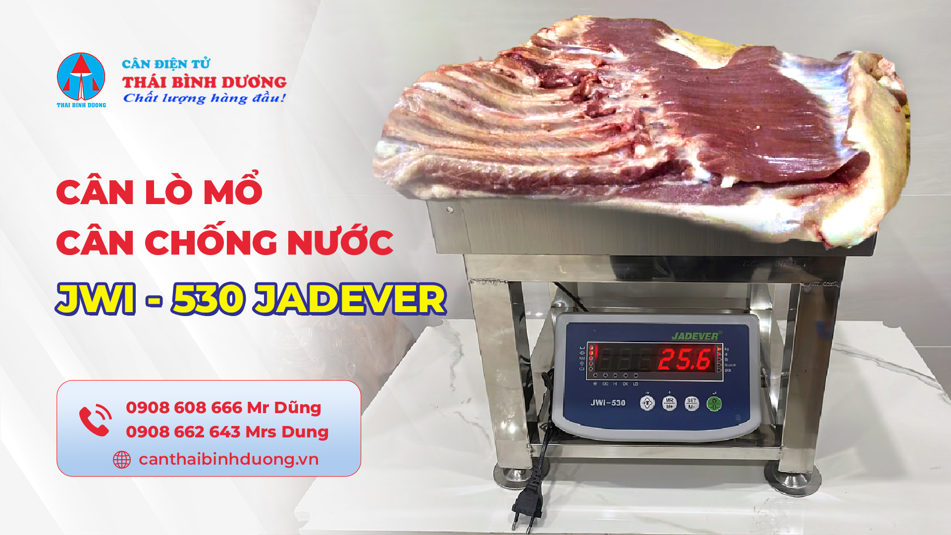 Cân inox chống nước 300kg ở Tân Châu An Giang
