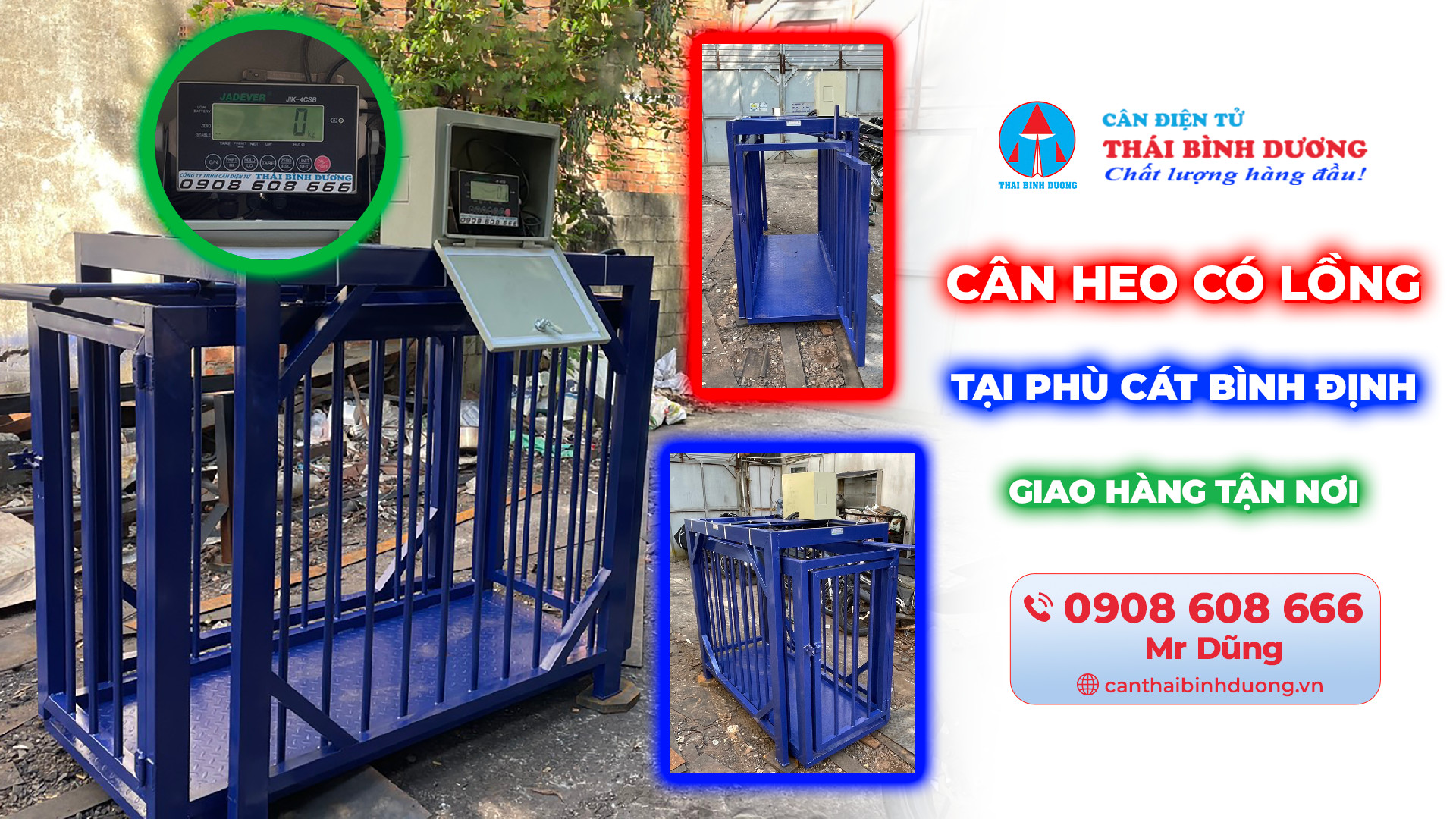 Cân Heo Điện Tử Tại Phù Cát Bình Định