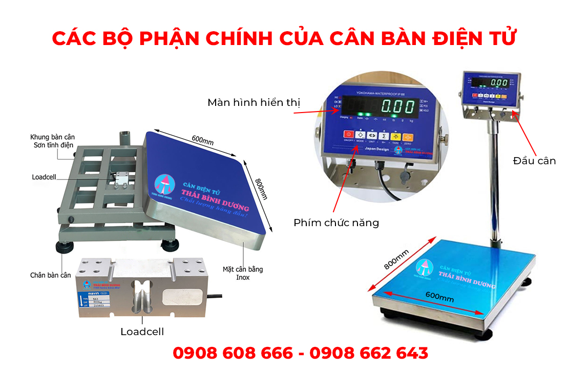 các bộ phận chính của cân bàn điện tử