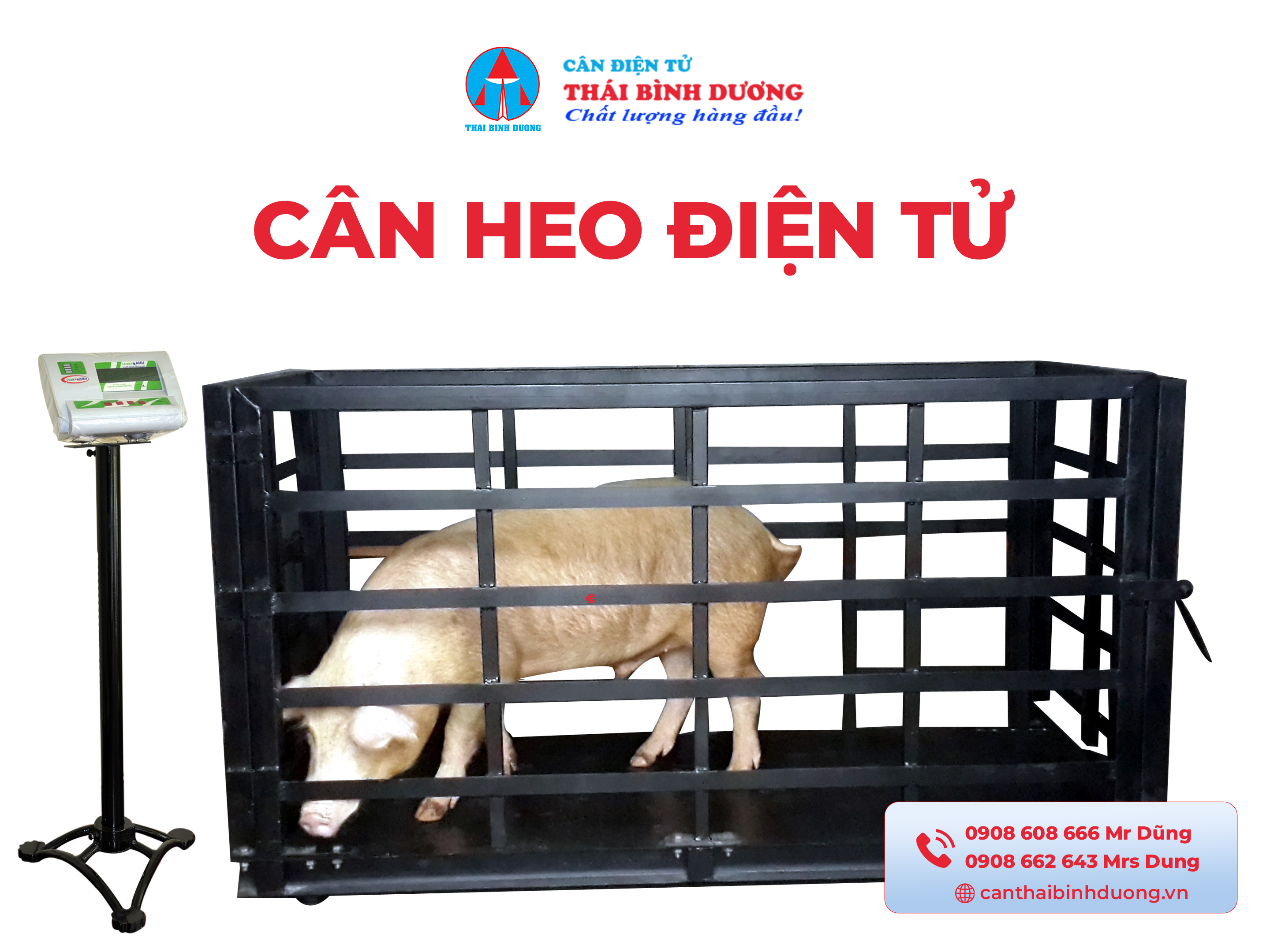 cân heo điện tử