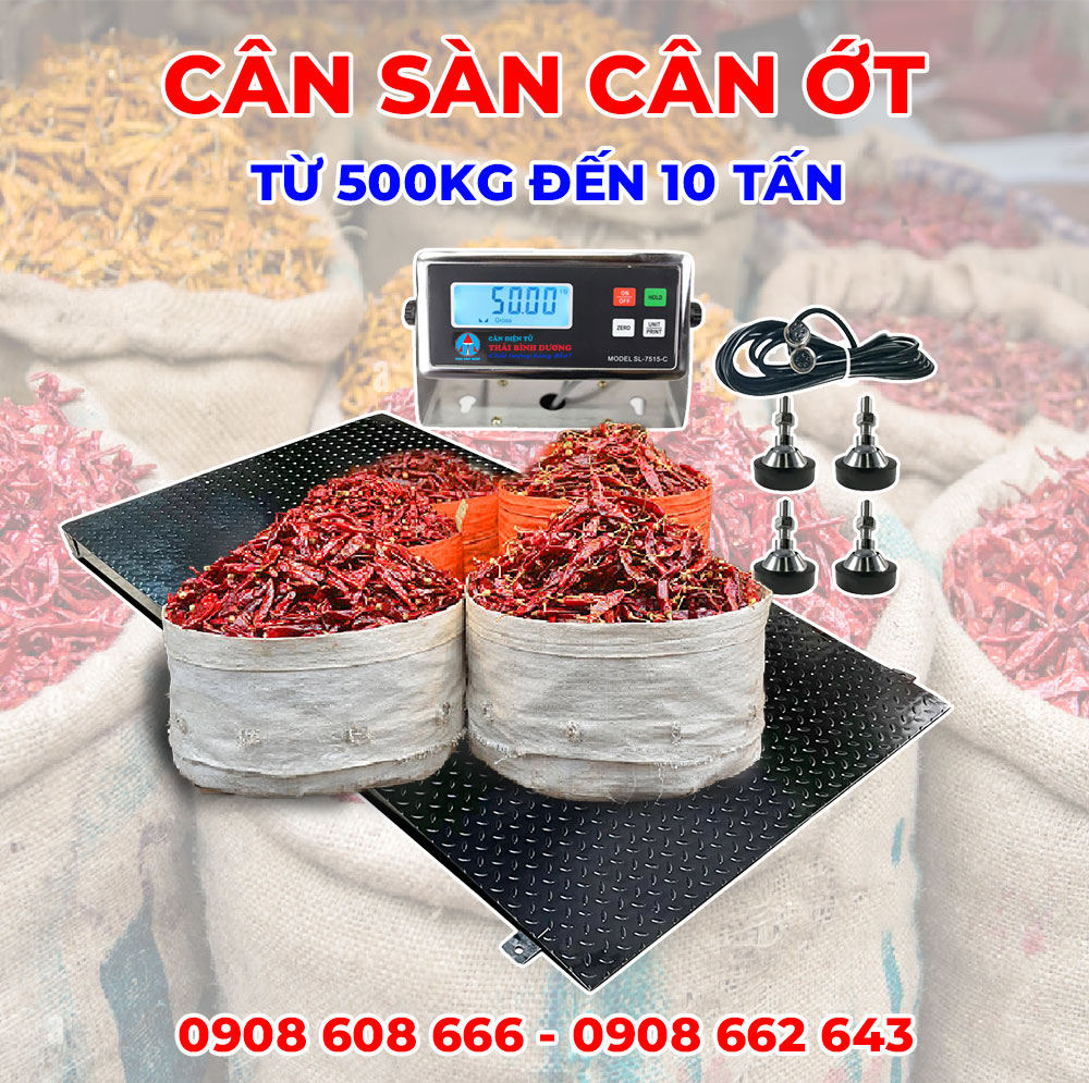 Cân ớt điện tử mức cân từ 500kg đến 10 tấn (dạng cân sàn)