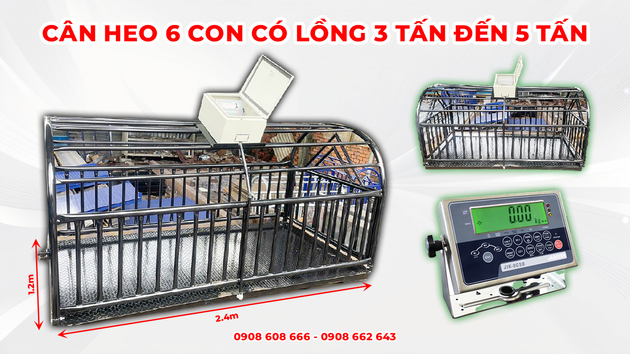 Cân heo 6 con có lồng 3 tấn đến 5 tấn