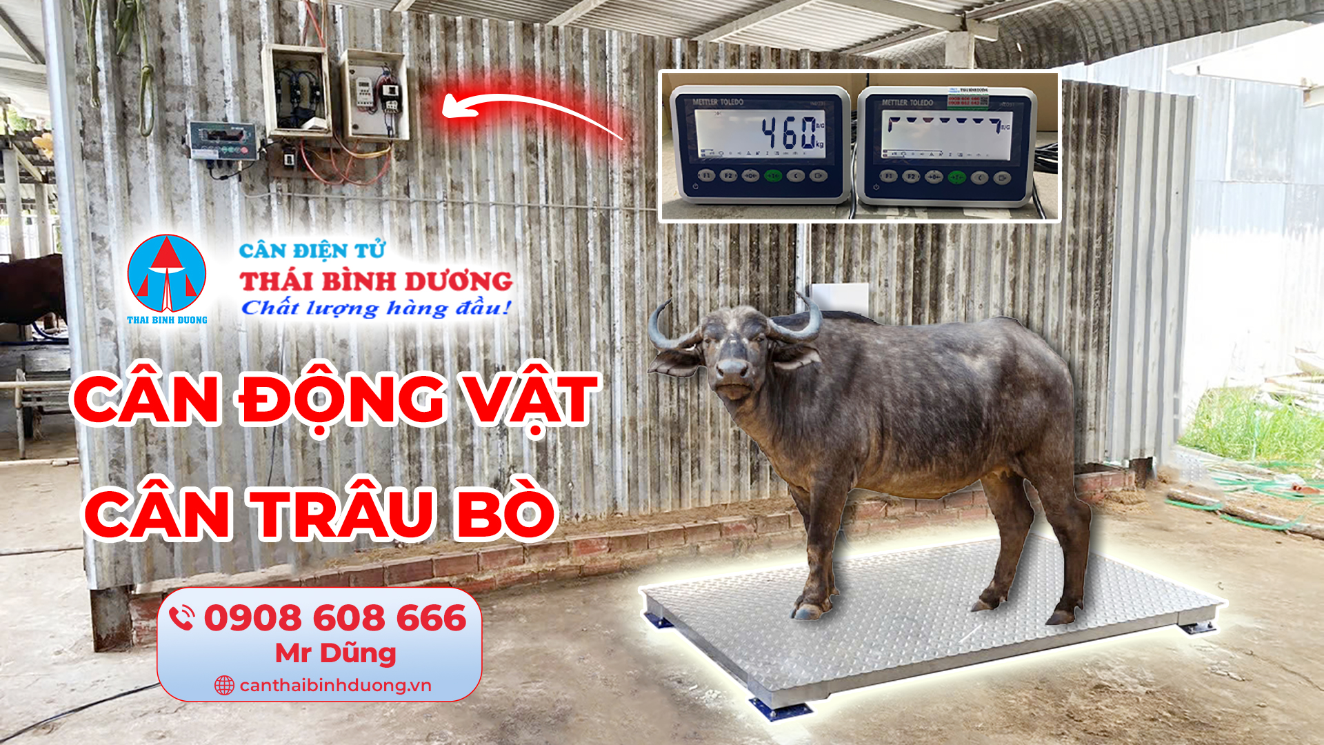 Cân trâu bò điện tử 1 tấn 2 tấn 3 tấn