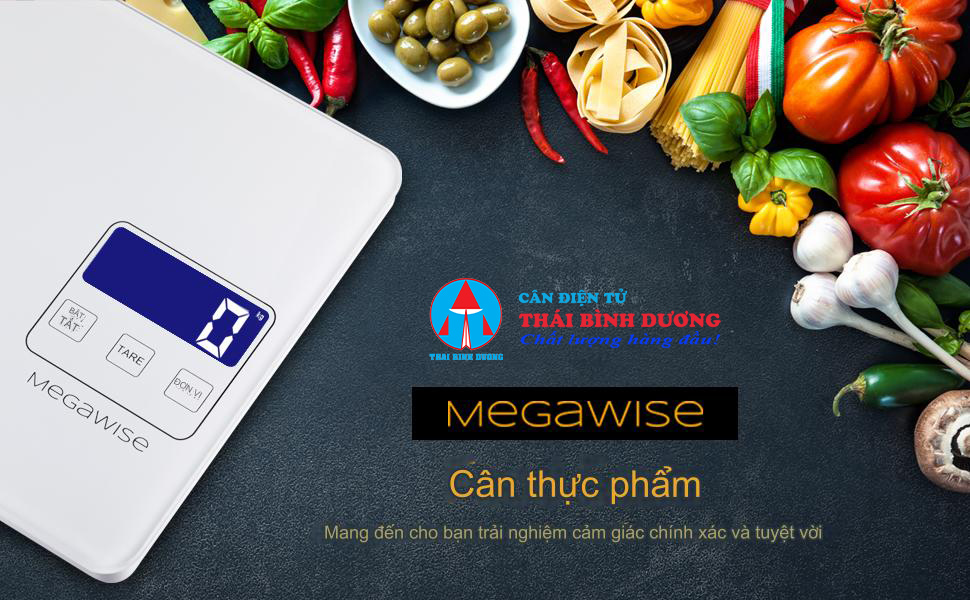 Cân thực phẩm Megawise banner