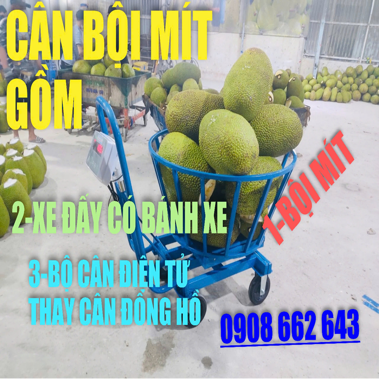 Cân Bội Mít 200kg Đến 500kg