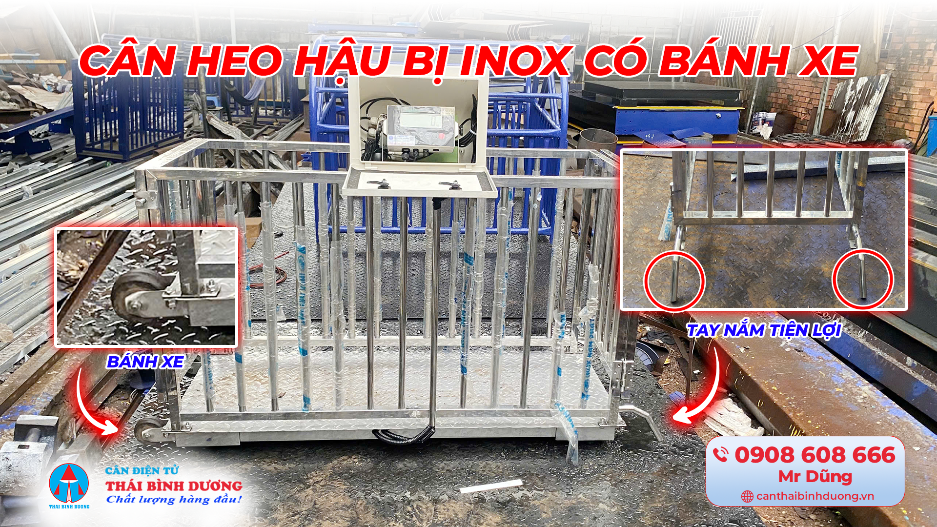 Cân heo hậu bị inox có bánh xe tay cầm
