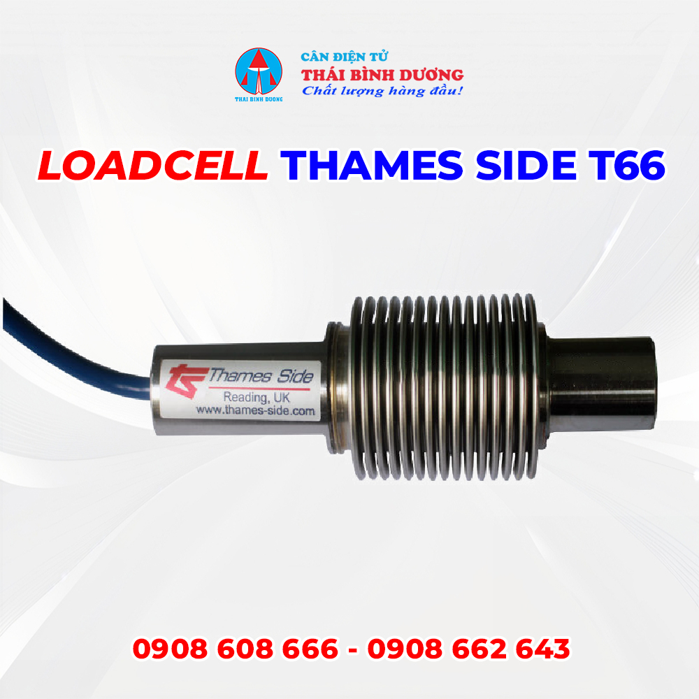 Loadcell Thames Side T66 1