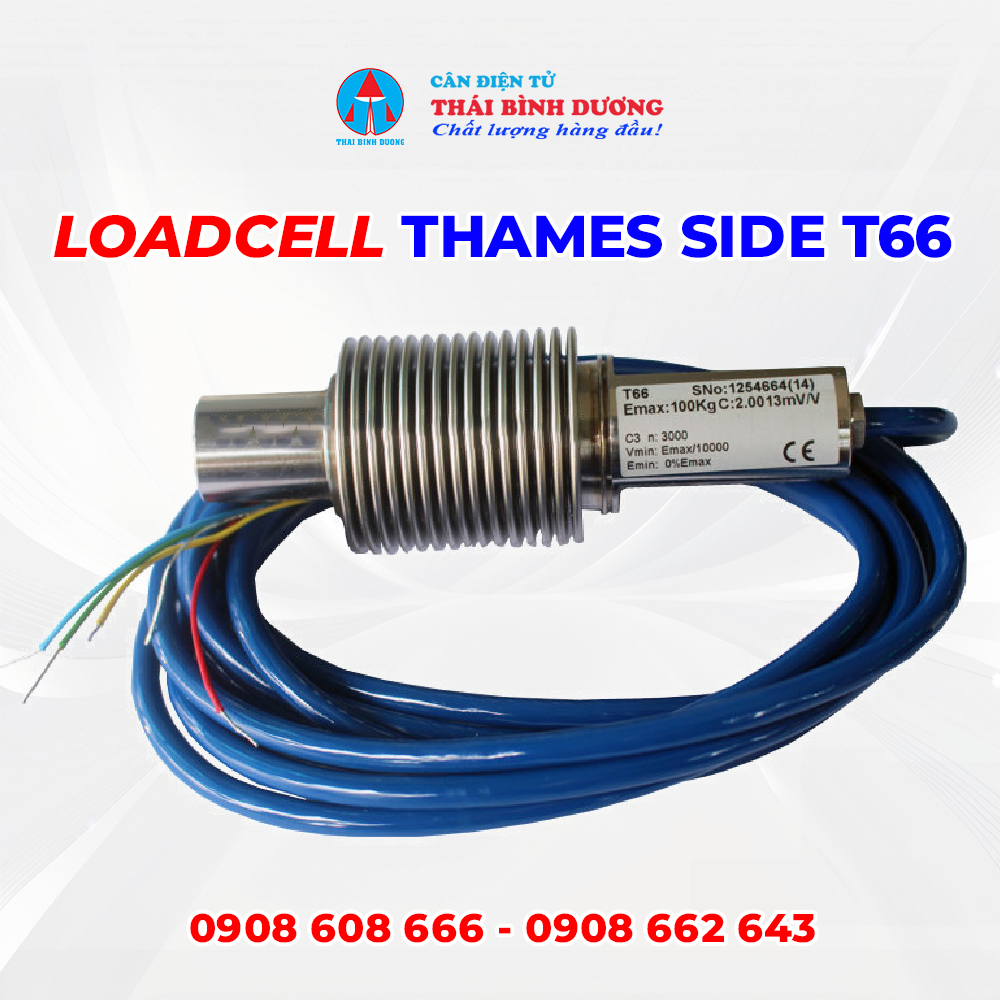 Loadcell Thames Side T66 3