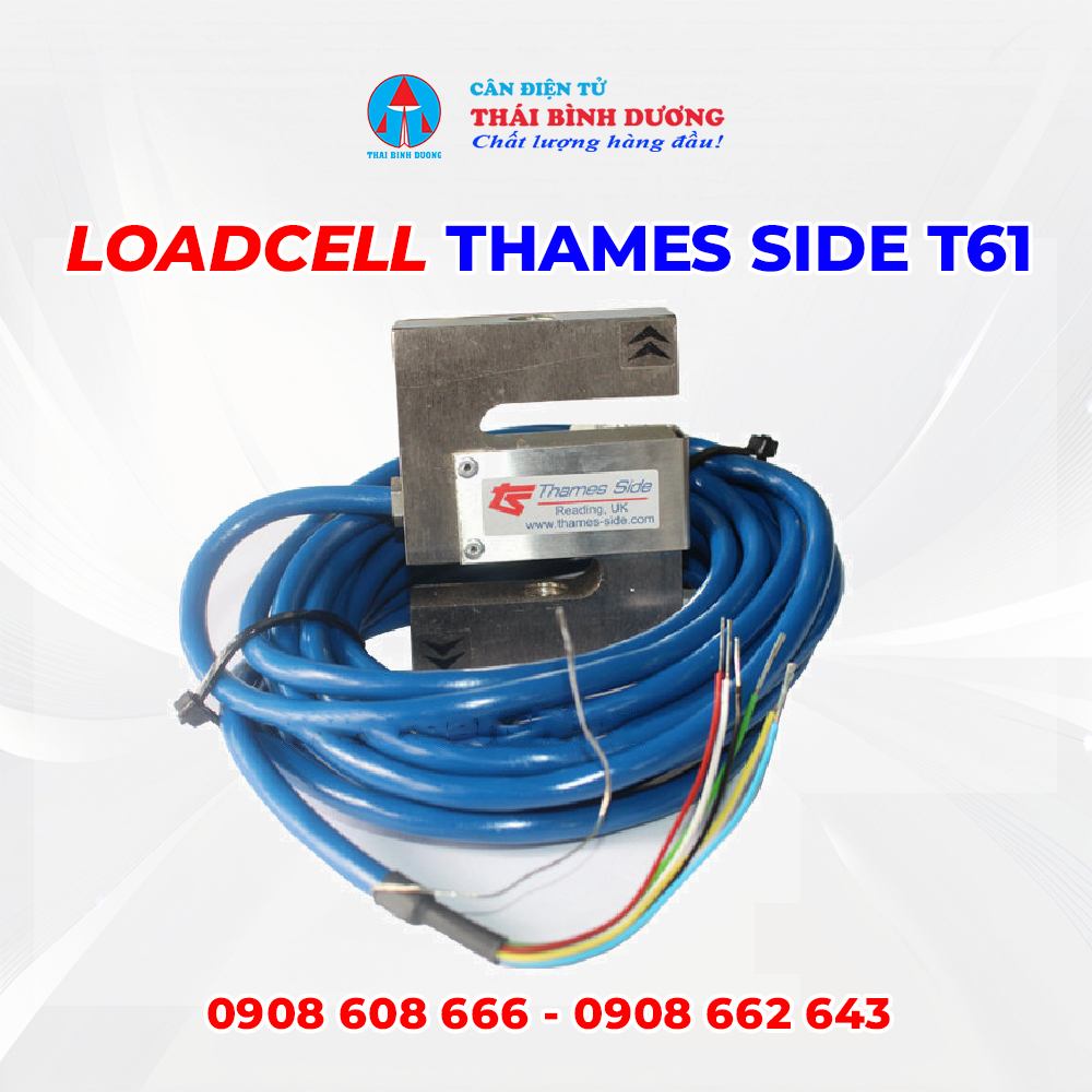 Loadcell Thames Side T61 1
