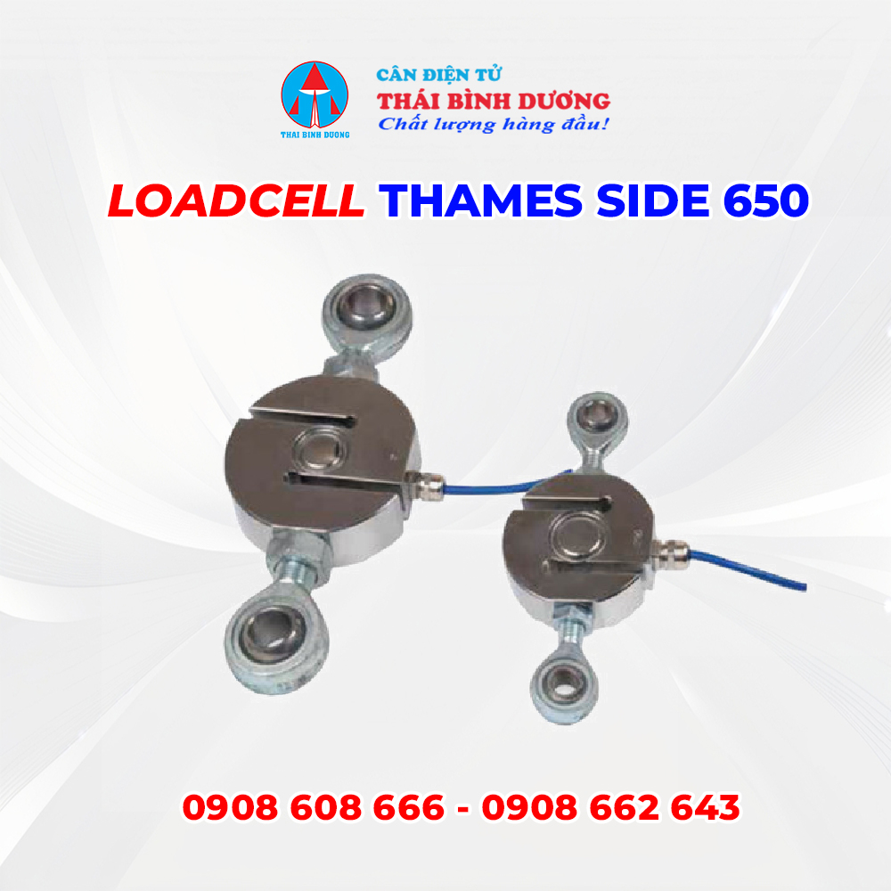 Loadcell Thames Side 650