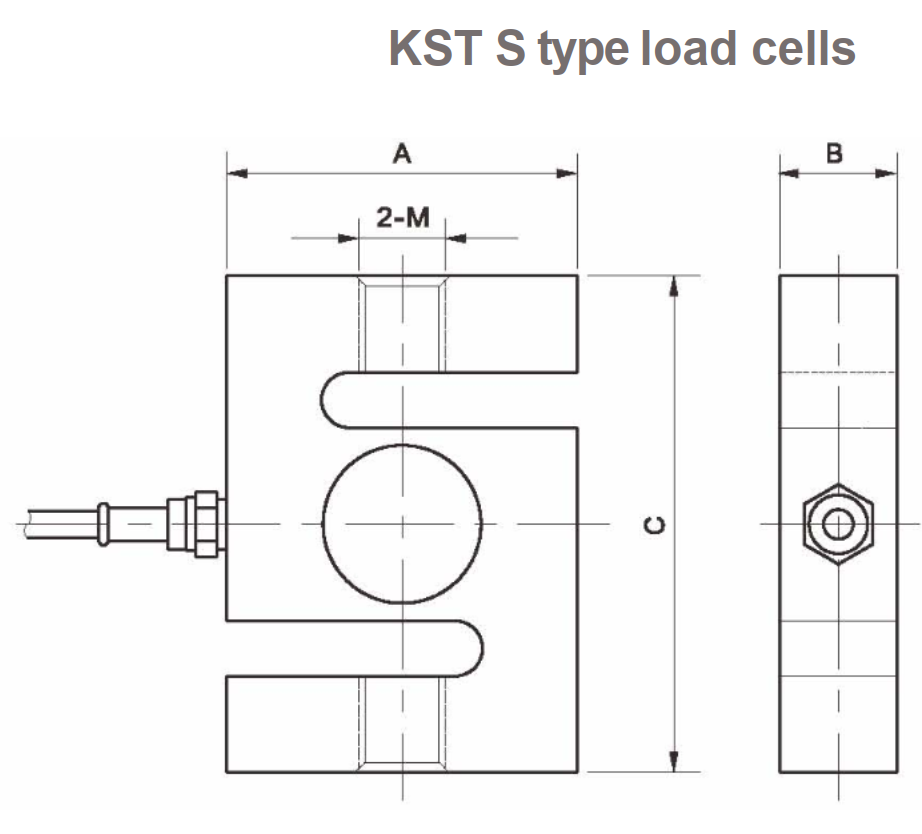 Loadcell KST Amcell 1