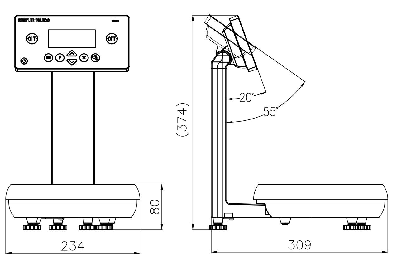 Cân Pha Sơn RPA345 Mettler Toledo 3