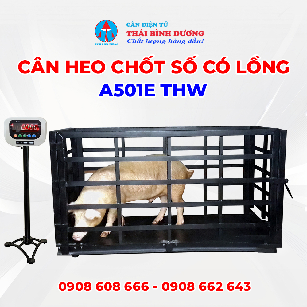 Cân Heo Chốt Số Có Lồng A501E THW