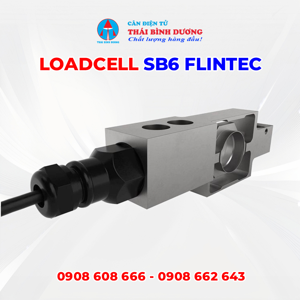Loadcell SB6 Flintec 2