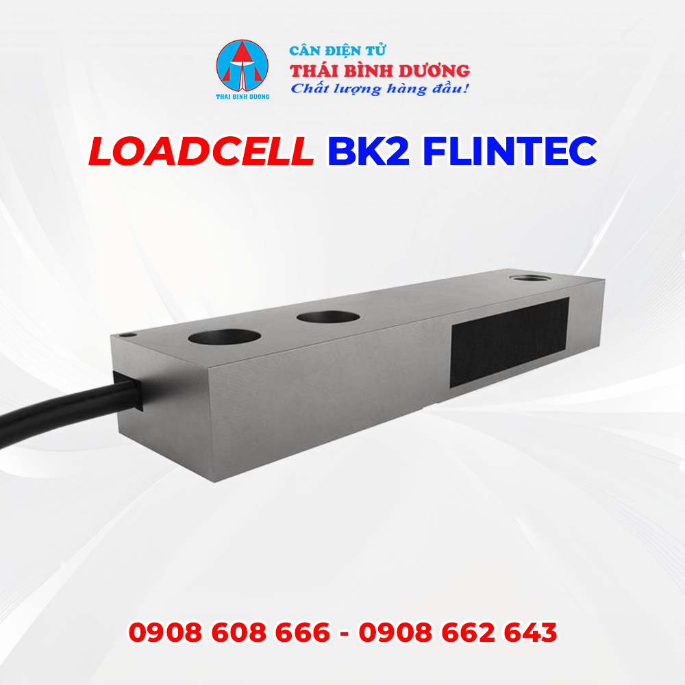 Loadcell BK2 Flintec 2