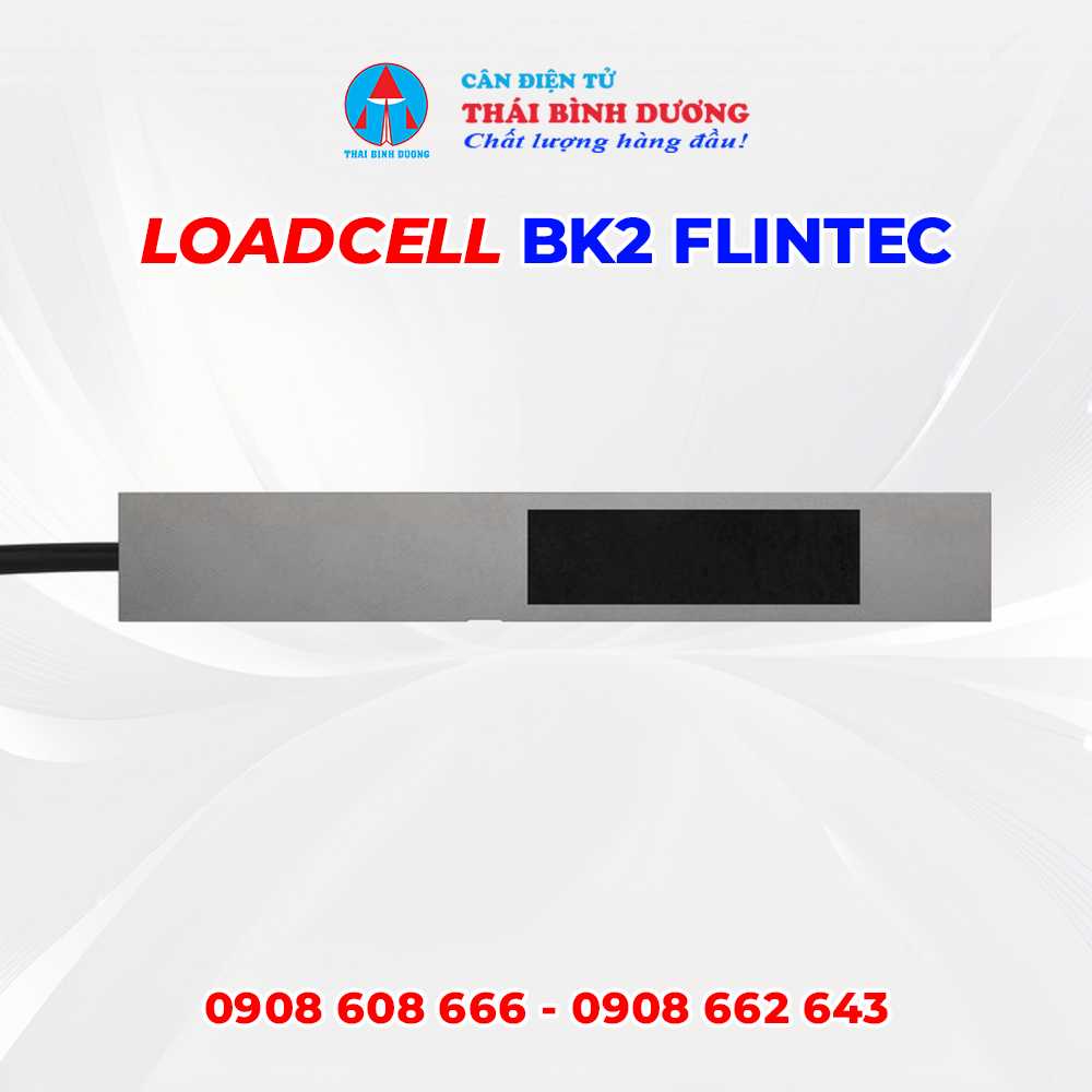 Loadcell BK2 Flintec 3