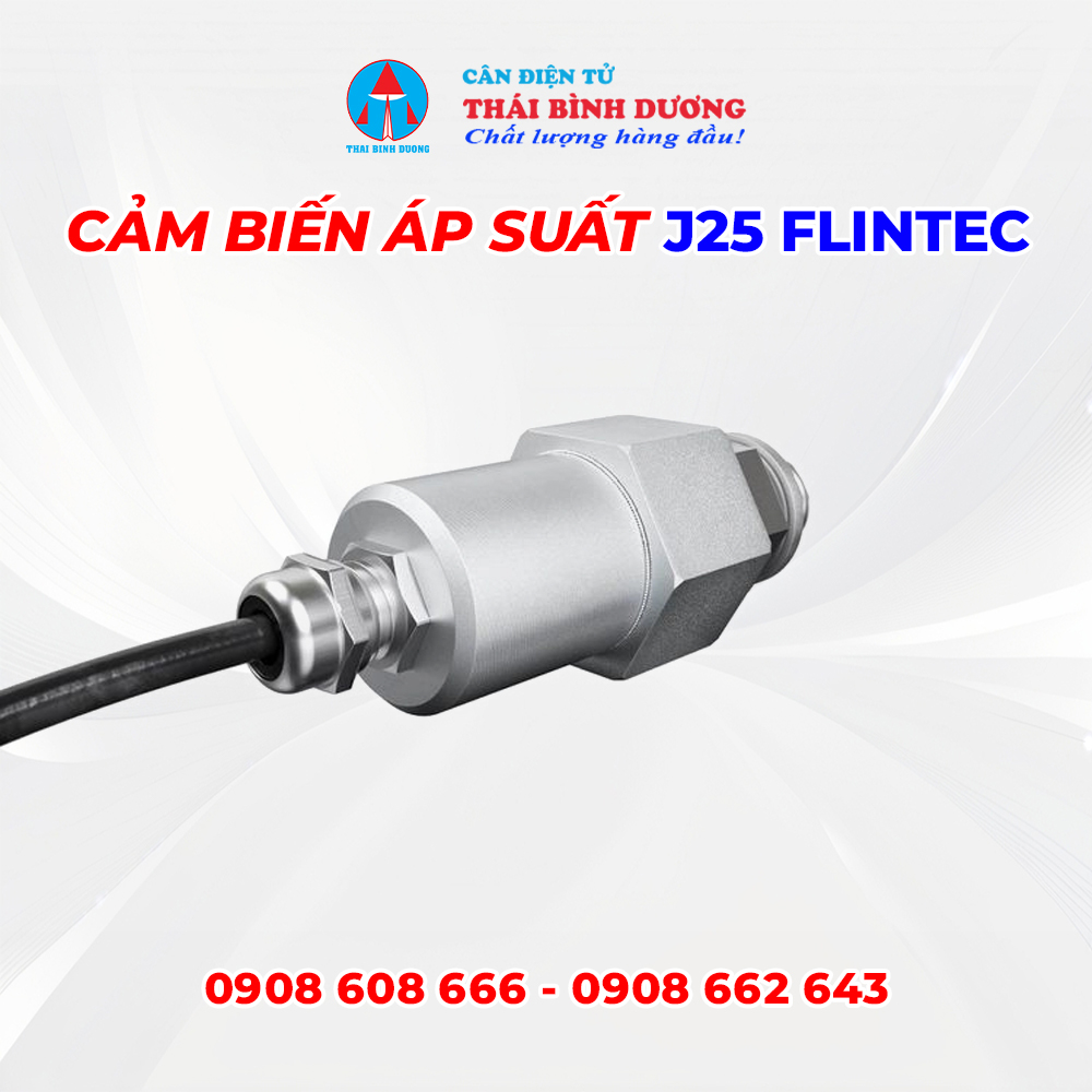 Cảm biến áp suất J25 Flintec 2