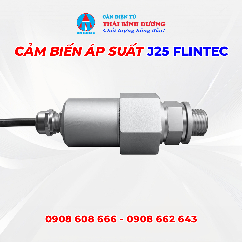 Cảm biến áp suất J25 Flintec 3