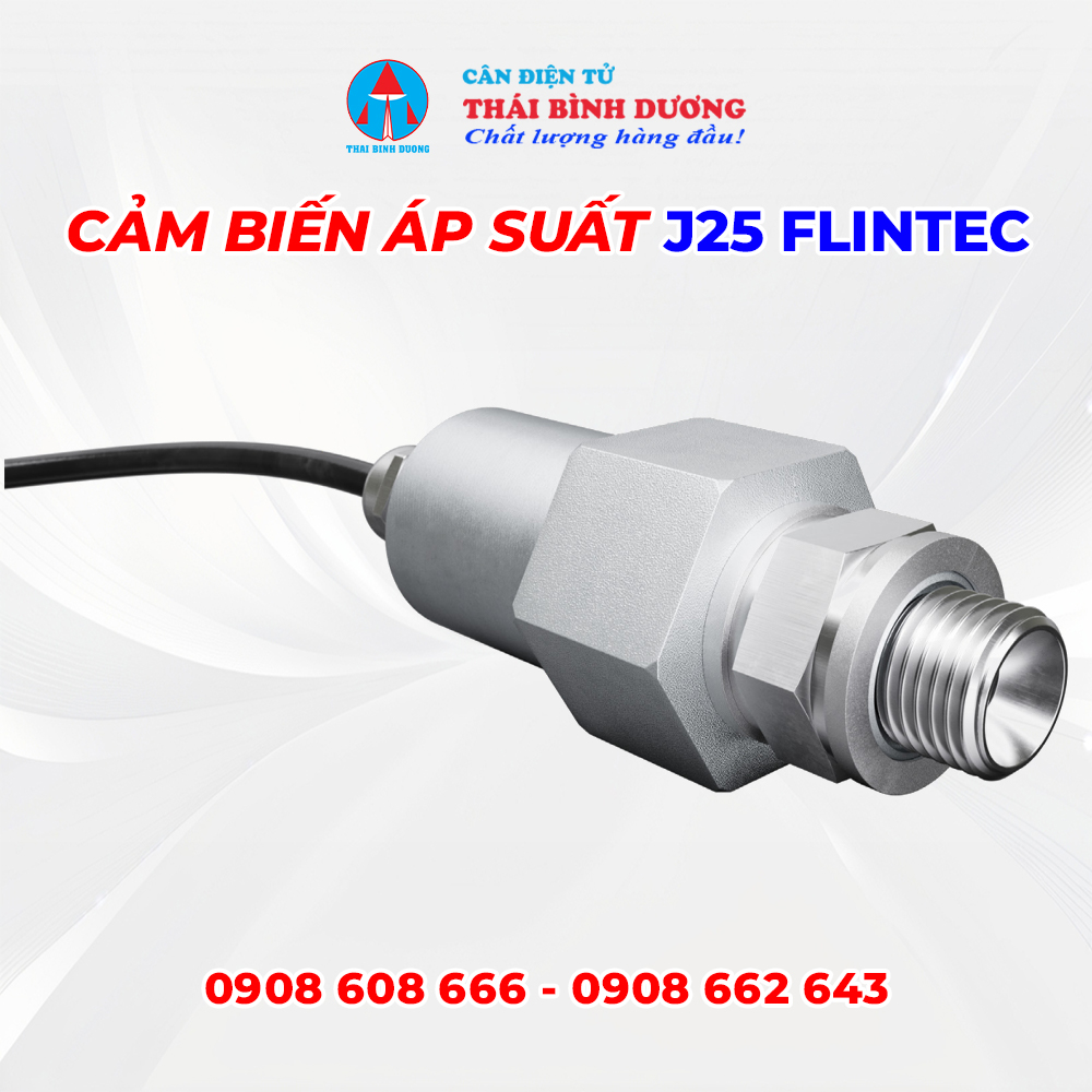 Cảm Biến Áp Suất J25 Flintec