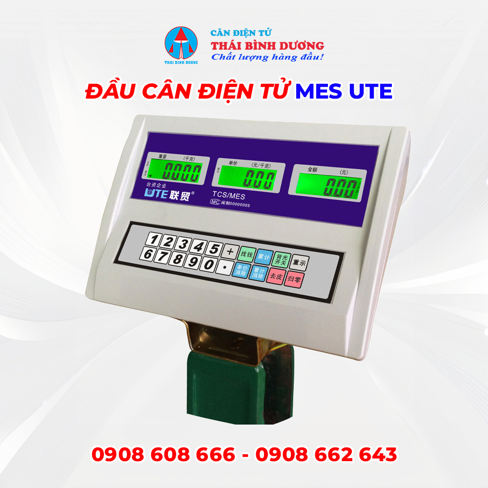 Đầu Cân Điện Tử MES UTE