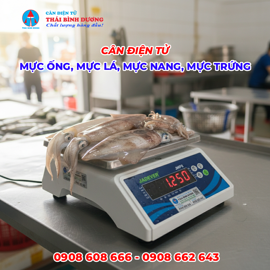 Cân Mực Ống, Mực Lá, Mực Nang, Mực Trứng Điện Tử