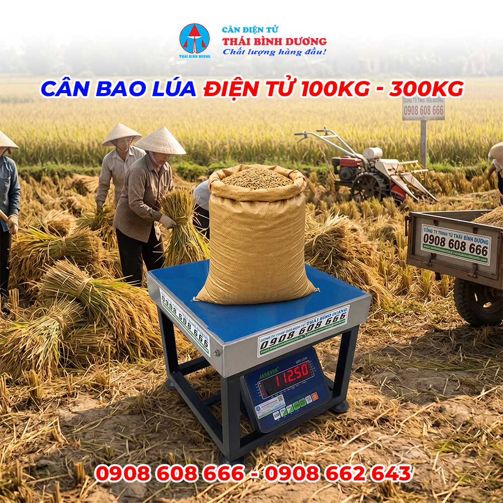 Cân Bao Lúa Điện Tử 100kg – 300kg
