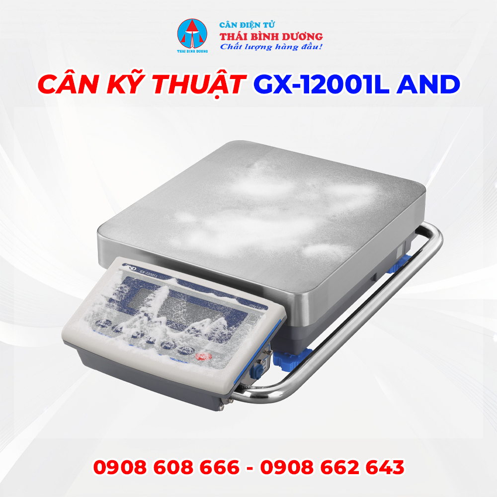 Cân kỹ thuật GX-12001L AND 1