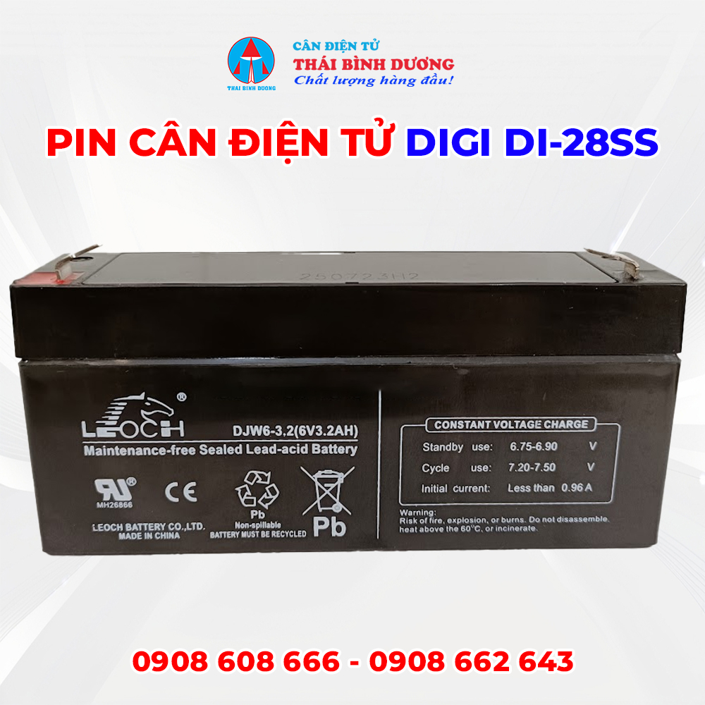 PIn cân điện tử DIGI 1