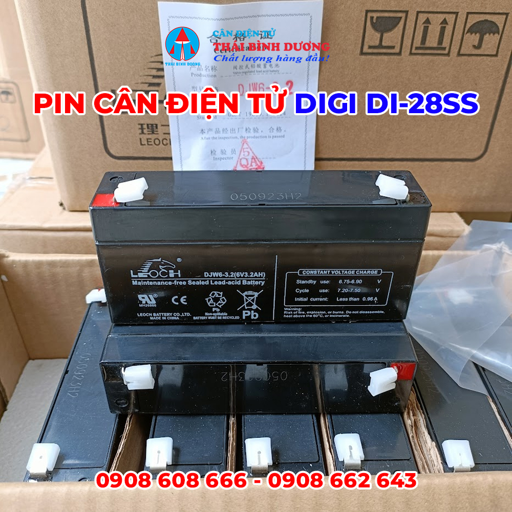 PIn cân điện tử DIGI 2