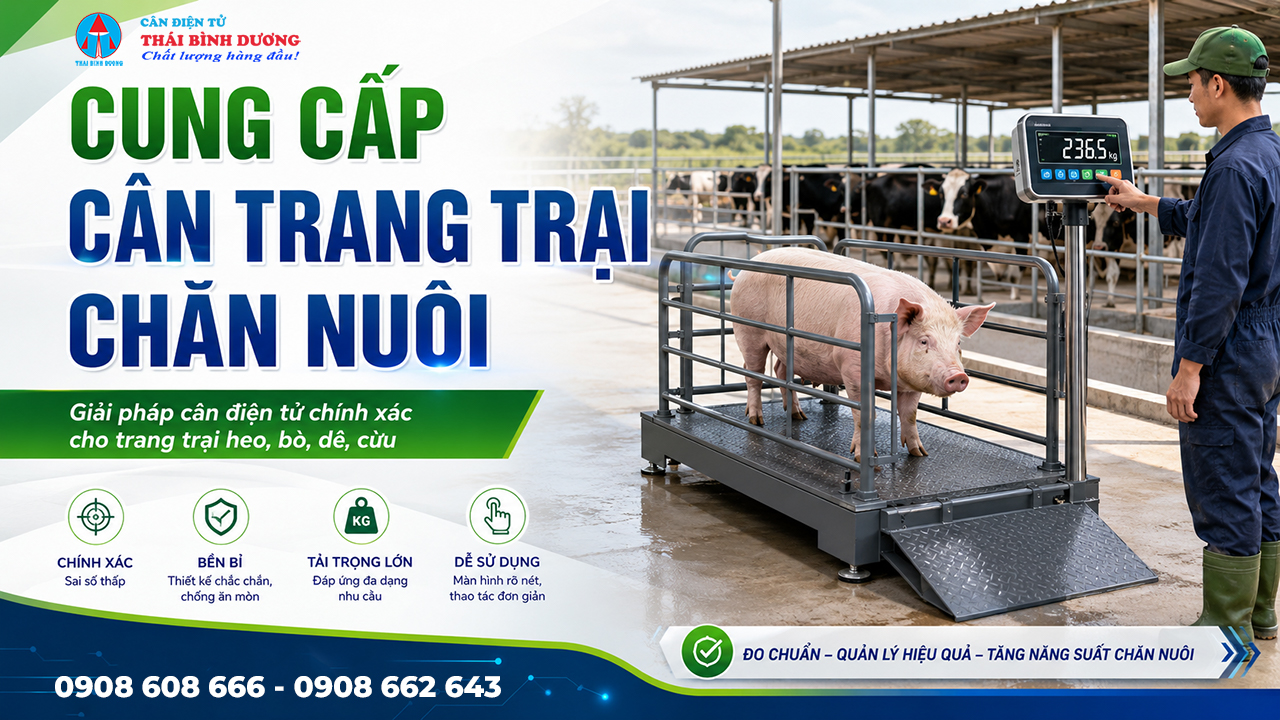 Cung cấp cân trang trại