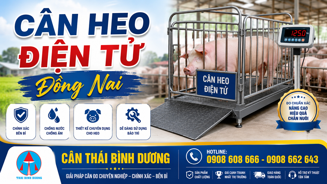 Cân Heo Điện Tử Đồng Nai