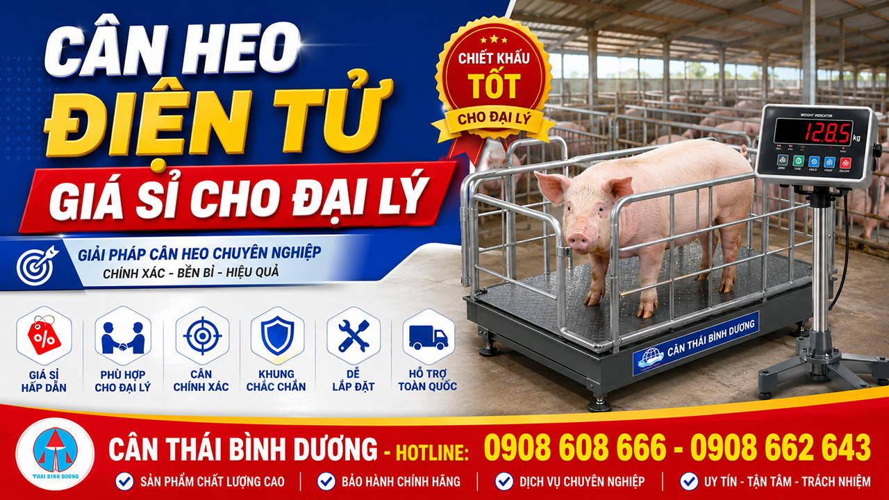 Cân Heo Điện Tử Giá Sỉ Cho Đại Lý
