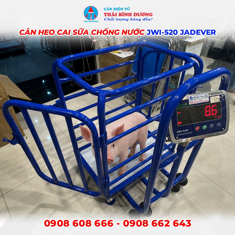 Cân Heo Con Cai Sữa Có Lồng Inox Chống Nước