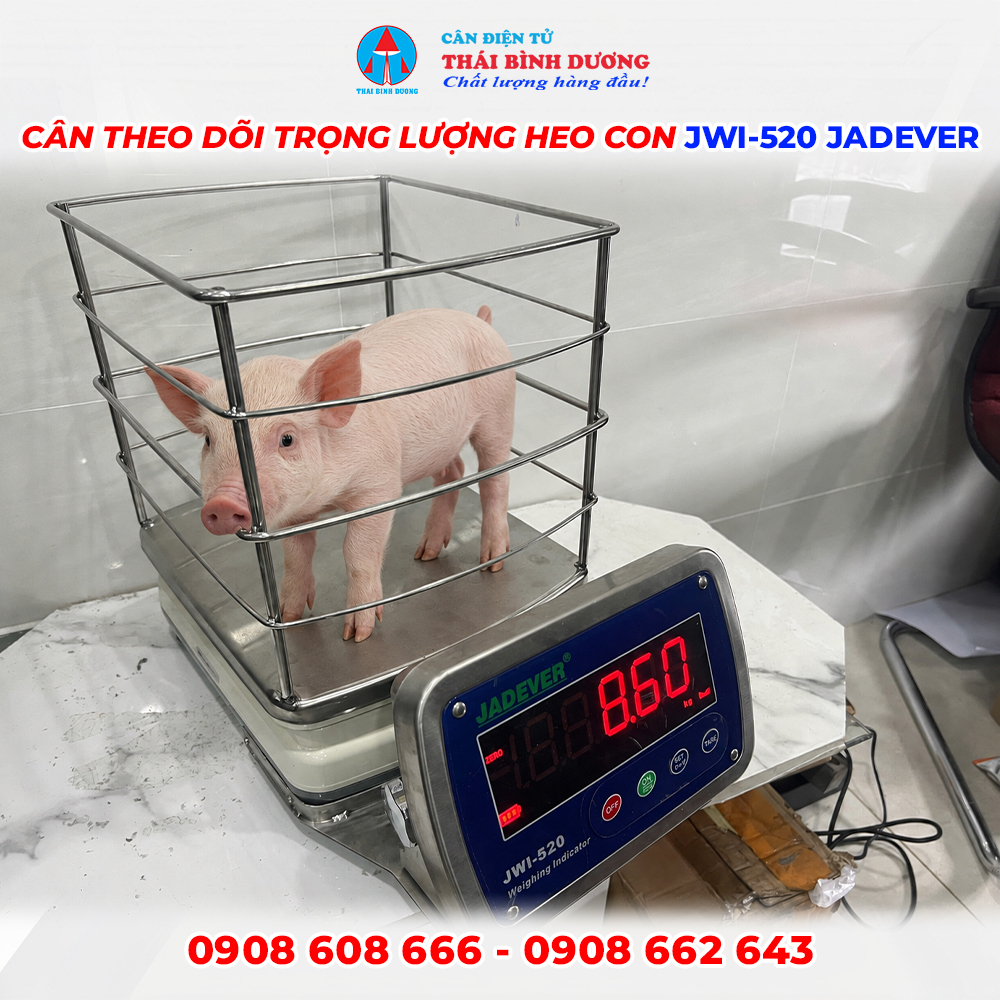 Cân Theo Dõi Trọng Lượng Heo Con